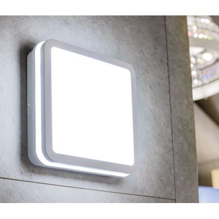 LED Plafonieră BENO LED/24W/230V IP54 alb