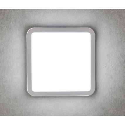 LED Plafonieră BENO LED/24W/230V IP54 alb