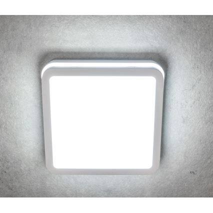 LED Plafonieră BENO LED/24W/230V IP54 alb
