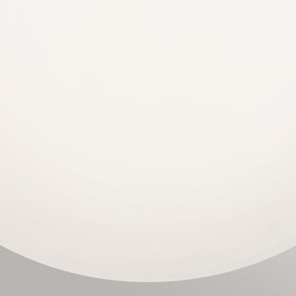 Kichler KL-ALBERS-F-G-CPZ Plafonieră ALBERS 1xE27/40W/230V Ø20,3 cm, auriu