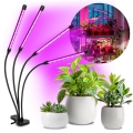 Lampă de birou flexibilă LED reglabilă cu clemă pentru cultivarea plantelor VITARO 4xLED/10W/230V negru