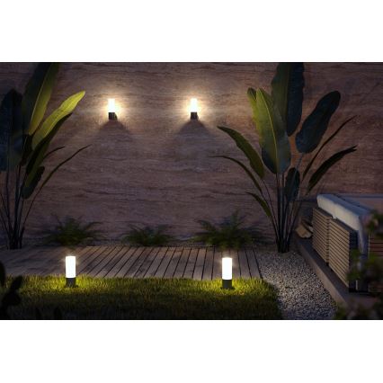 Lampă de exterior Maytoni O418FL-01B WILLIS 1xE27/60W/230V 30 cm IP54 negru