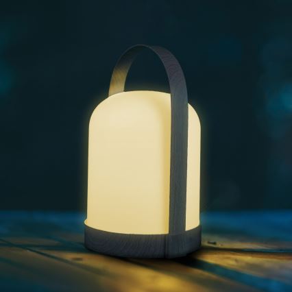 Lampă de masă decorativă LED RGBW MINORKA LED/0,3W/4,5V 3xAA