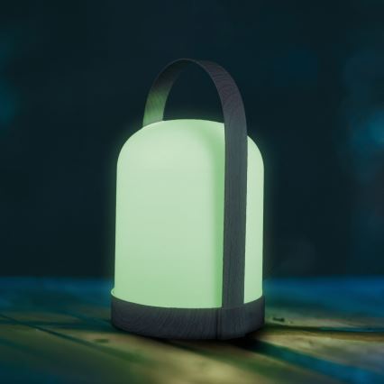 Lampă de masă decorativă LED RGBW MINORKA LED/0,3W/4,5V 3xAA