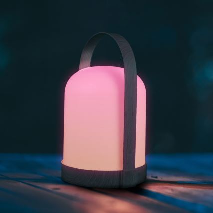 Lampă de masă decorativă LED RGBW MINORKA LED/0,3W/4,5V 3xAA