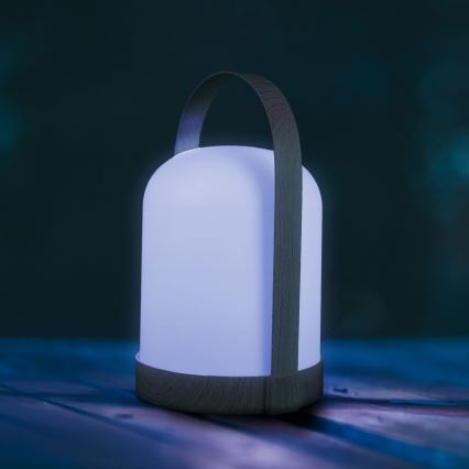 Lampă de masă decorativă LED RGBW MINORKA LED/0,3W/4,5V 3xAA