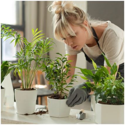 Lampă de birou LED reglabilă pentru cultivarea plantelor VERDI LED/12W/230V 4500K CRI 95 albă