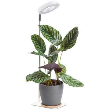 Lampă de masă reglabilă LED VERDI pentru creșterea plantelor, 5W/5V, 1300K, CRI 95, albă