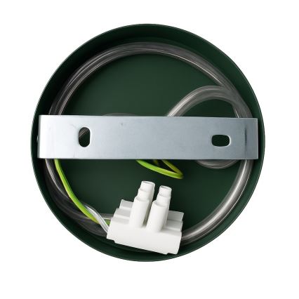 Lampă de perete CAPITAL 1xGX53/15W/230V verde