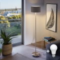Lampă de podea LED TUNJA 1xE27/20W/230V Ø 30 cm crom mat/maro
