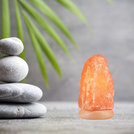 Lampă de sare SALLY 1xE14/25W/230V 3,5 kg