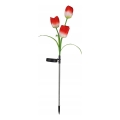 Lampă decorativă solară LED RGB 3xLED/3,7V 200 mAh IP44 tulipán
