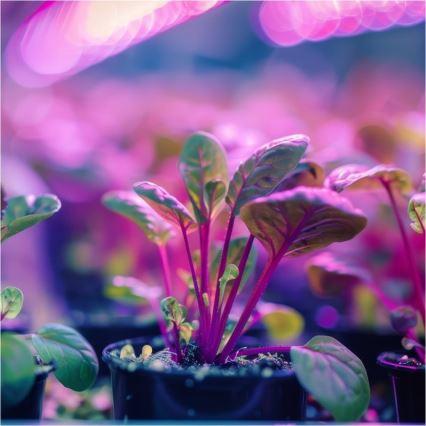 Lampă flexibilă de masă cu clemă pentru creșterea plantelor PLANTY 1xE27/30W/230V alb