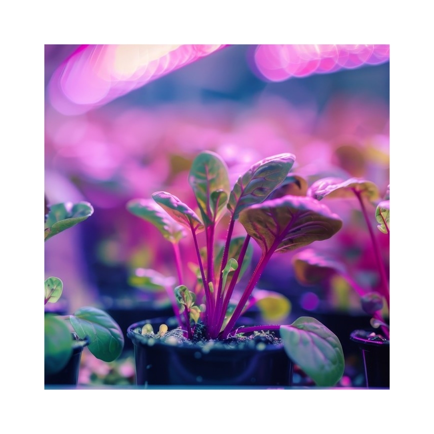 Lampă flexibilă de masă cu clemă pentru creșterea plantelor PLANTY 1xE27/30W/230V alb