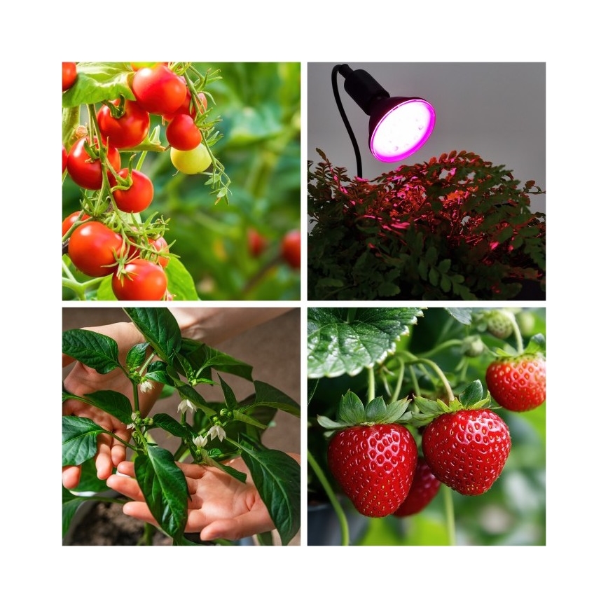 Lampă flexibilă de masă cu clemă pentru creșterea plantelor PLANTY 1xE27/30W/230V negru