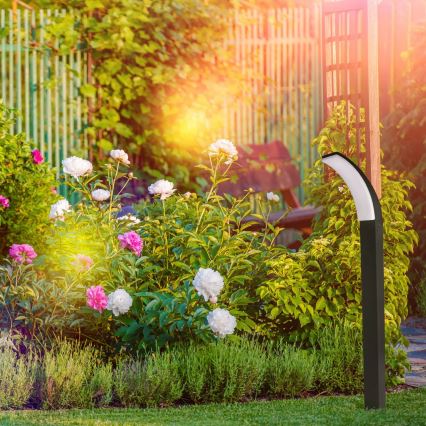 Lampă LED de exterior AMY LED/12W/230V 100 cm IP44 negru