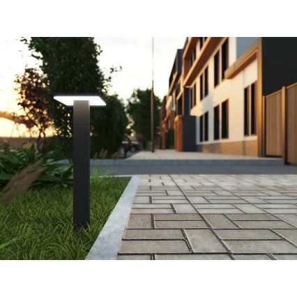 Lampă LED de exterior cu senzor BARI LED/10W/230V 4000K 60 cm IP54 antracit