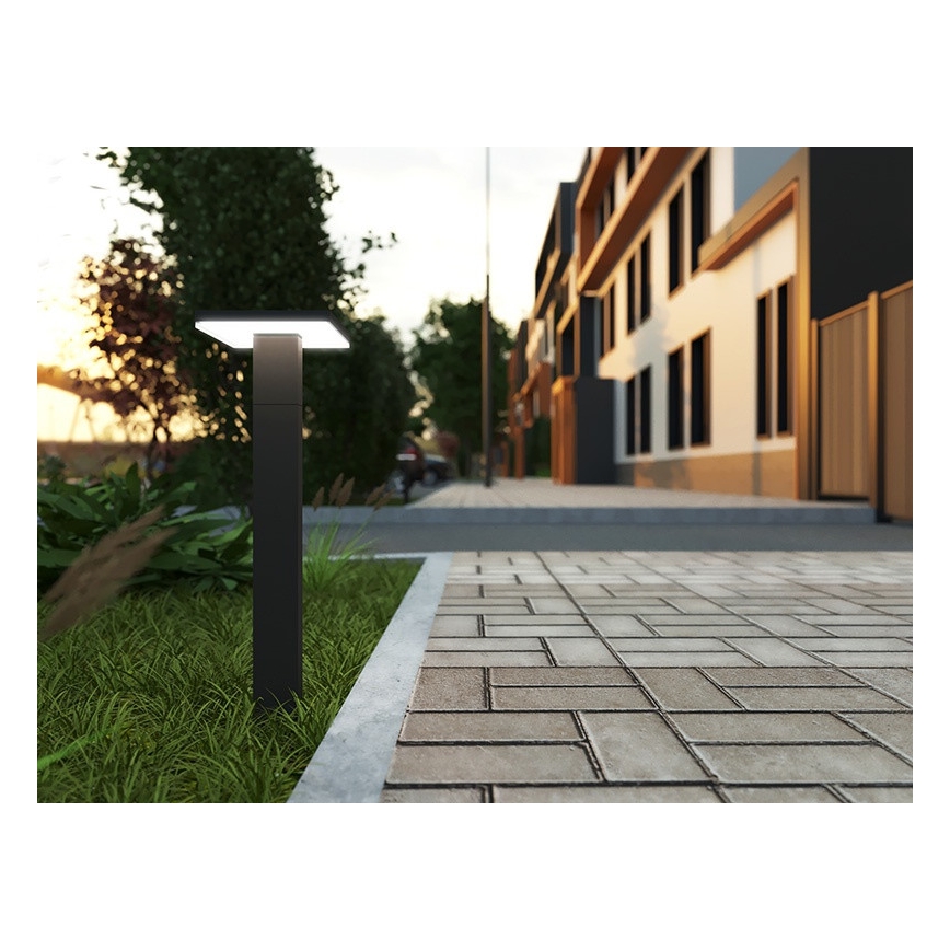 Lampă LED de exterior cu senzor BARI LED/10W/230V 4000K 60 cm IP54 antracit