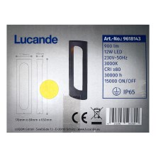 Lampă LED de exterior FENTI LED/12W/230V IP65 Lucande