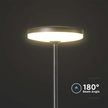 Lampă LED de exterior LED/12W/230V 4000K IP65 antracit