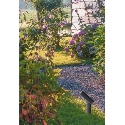 Lampă LED de exterior Lucide 27894/05/29 TATUM LED/4,5W/230V IP65 39,5 cm antracit