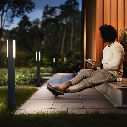 Philips 16489/93/P0 - Corp de iluminat exterior MYGARDEN STRATOSPHERE 2xLED/4,5W
