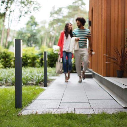 Philips 16489/93/P0 - Corp de iluminat exterior MYGARDEN STRATOSPHERE 2xLED/4,5W