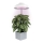 Lampă LED de interior pentru creșterea plantelor GROW LED/5W/5V