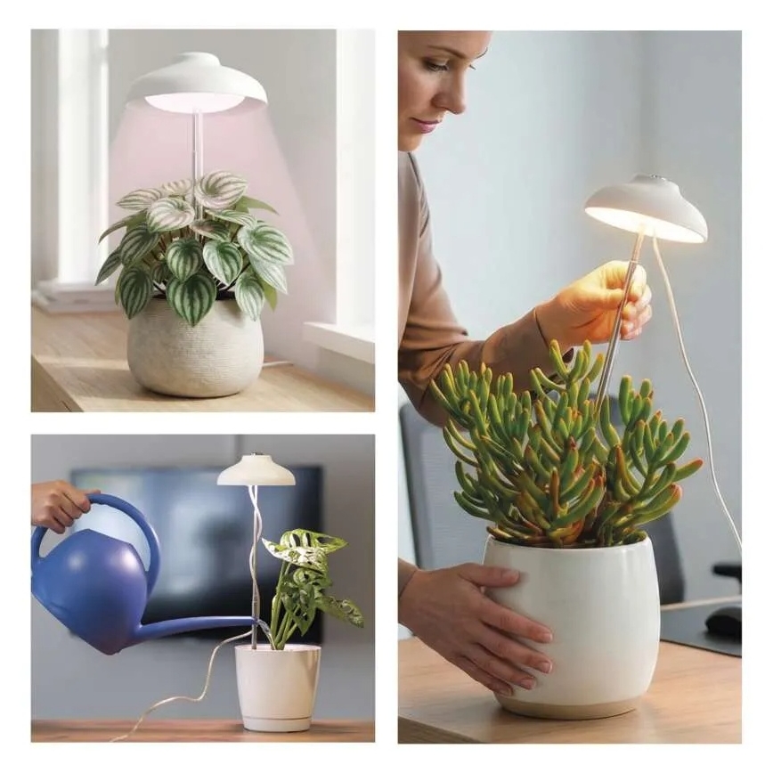 Lampă LED de interior pentru creșterea plantelor GROW LED/5W/5V