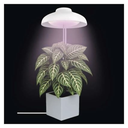 Lampă LED de interior pentru creșterea plantelor GROW LED/5W/5V