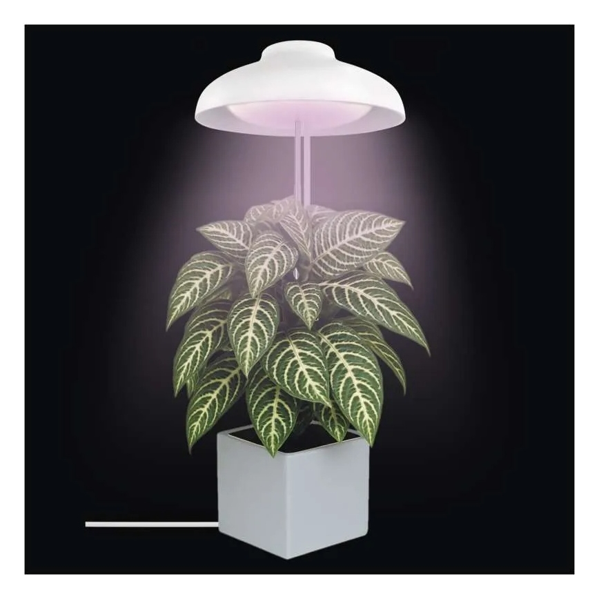 Lampă LED de interior pentru creșterea plantelor GROW LED/5W/5V