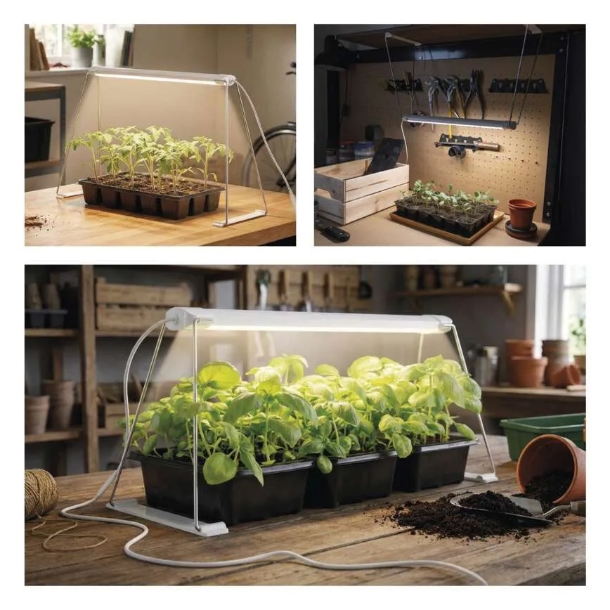 Lampă LED de interior pentru cultivarea plantelor GROW, 15W/230V