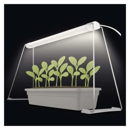 Lampă LED de interior pentru cultivarea plantelor GROW, 15W/230V