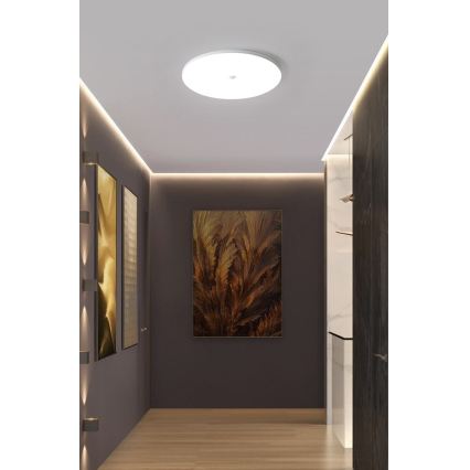 Plafonieră LED cu senzor de amurg și de mișcare MORETTI LED/24W/230V Ø 30 cm IP40 6500K