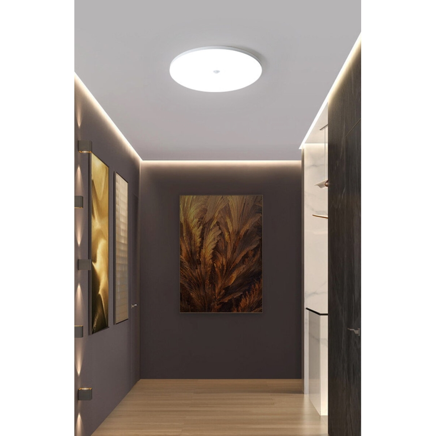 Plafonieră LED cu senzor de amurg și de mișcare MORETTI LED/24W/230V Ø 30 cm IP40 6500K