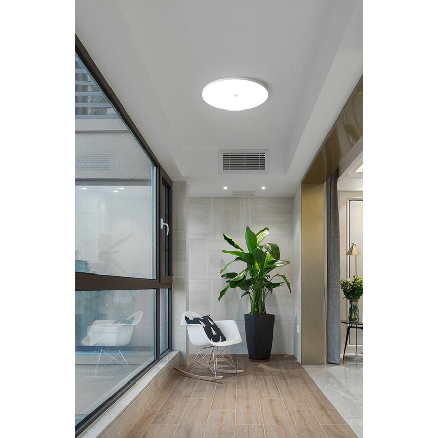 Plafonieră LED cu senzor de amurg și de mișcare MORETTI LED/24W/230V Ø 30 cm IP40 6500K
