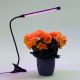 Lampă LED dimabilă cu clemă pentru iluminarea plantelor LED/3W/230V negru