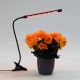 Lampă LED dimabilă cu clemă pentru iluminarea plantelor LED/3W/230V negru