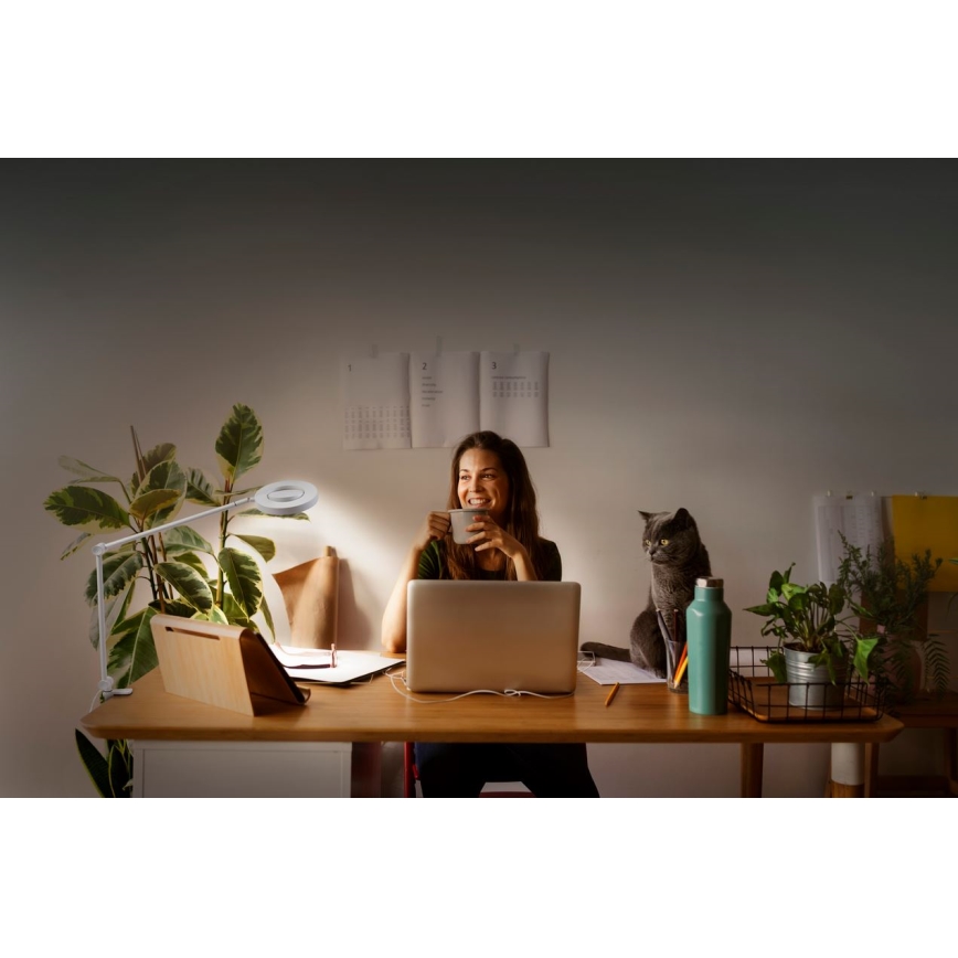 Lampă LED dimabilă cu clemă SUN@HOME LED/15W/230V 2200-5000K CRI 95 Wi-Fi Ledvance