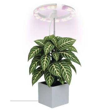Lampă LED dimabilă de interior pentru cultivarea plantelor GROW LED/8W/5V