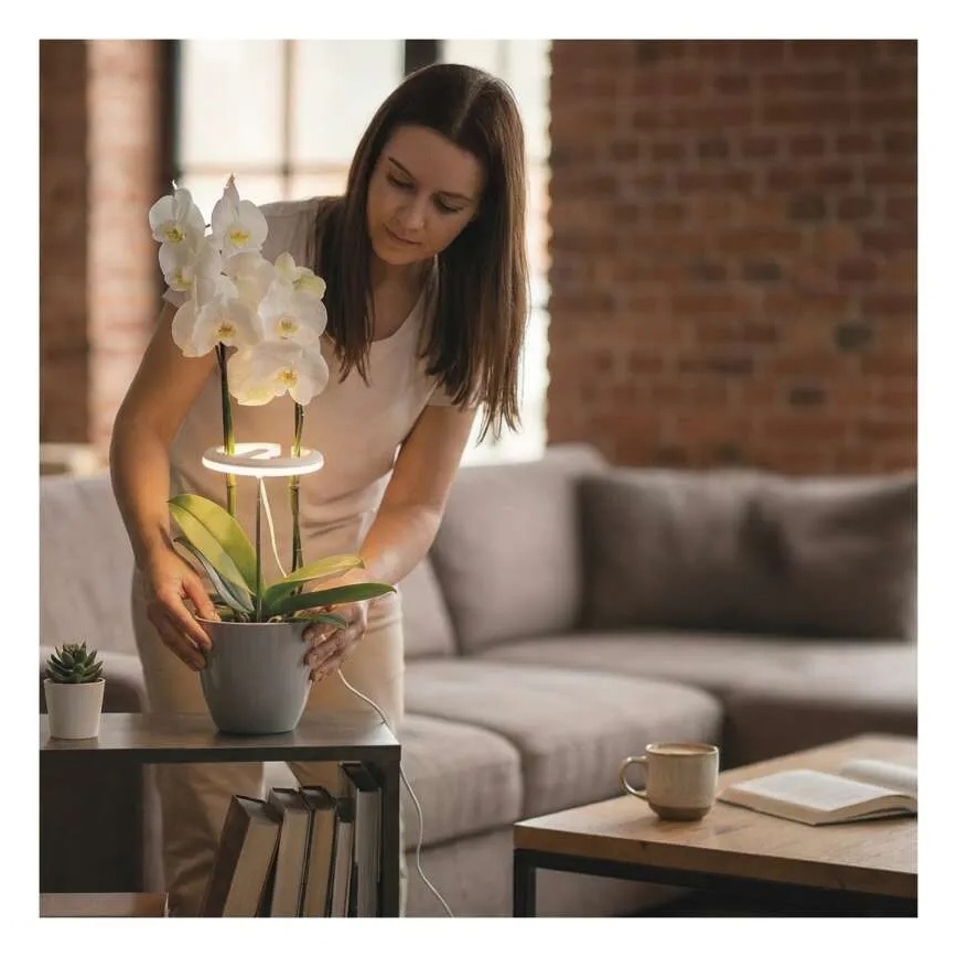 Lampă LED dimabilă de interior pentru cultivarea plantelor GROW LED/8W/5V