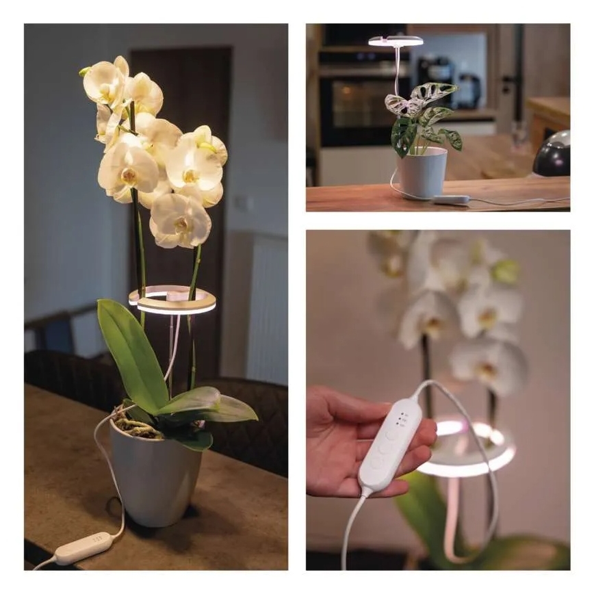 Lampă LED dimabilă de interior pentru cultivarea plantelor GROW LED/8W/5V