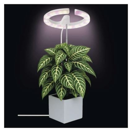 Lampă LED dimabilă de interior pentru cultivarea plantelor GROW LED/8W/5V