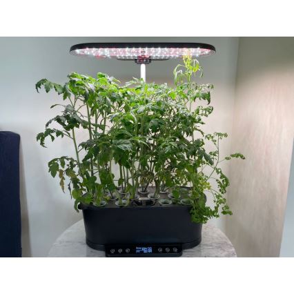 Lampă LED dimabilă de interior pentru plante NEO LITE LED/36W/24/230V Wi-Fi Tuya Immax NEO 07770L