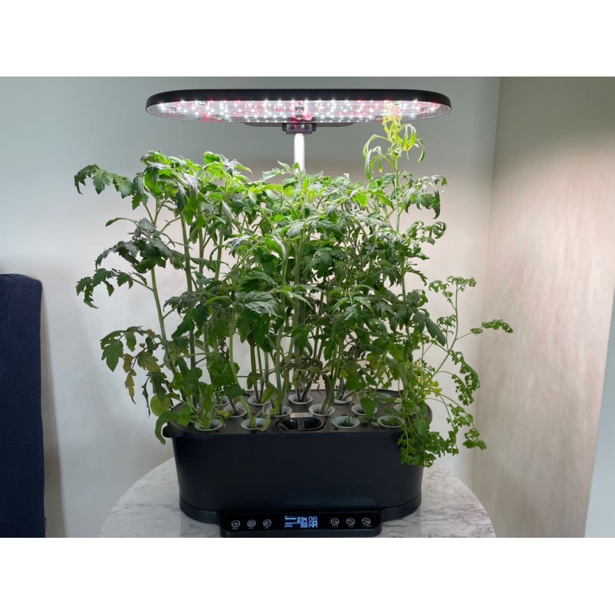 Lampă LED dimabilă de interior pentru plante NEO LITE LED/36W/24/230V Wi-Fi Tuya Immax NEO 07770L