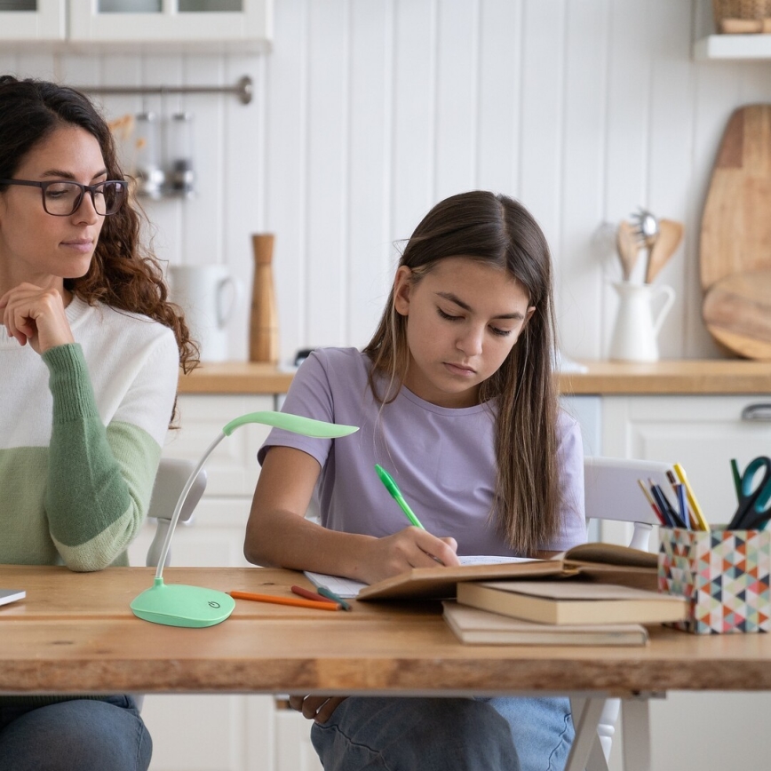 Lampă LED flexibilă dimabilă de masă Rabalux LED/2W/5V verde