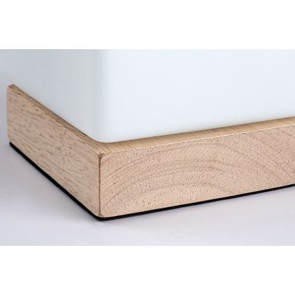 Lampă LED dimabilă de masă Rabalux LED/1,2W/5V 3000K fag