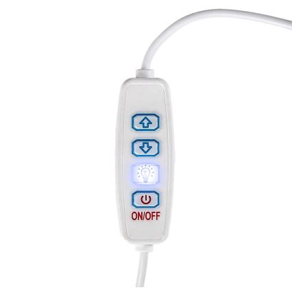 Lampă LED dimabilă de masă Rabalux LED/1,2W/5V 3000K fag