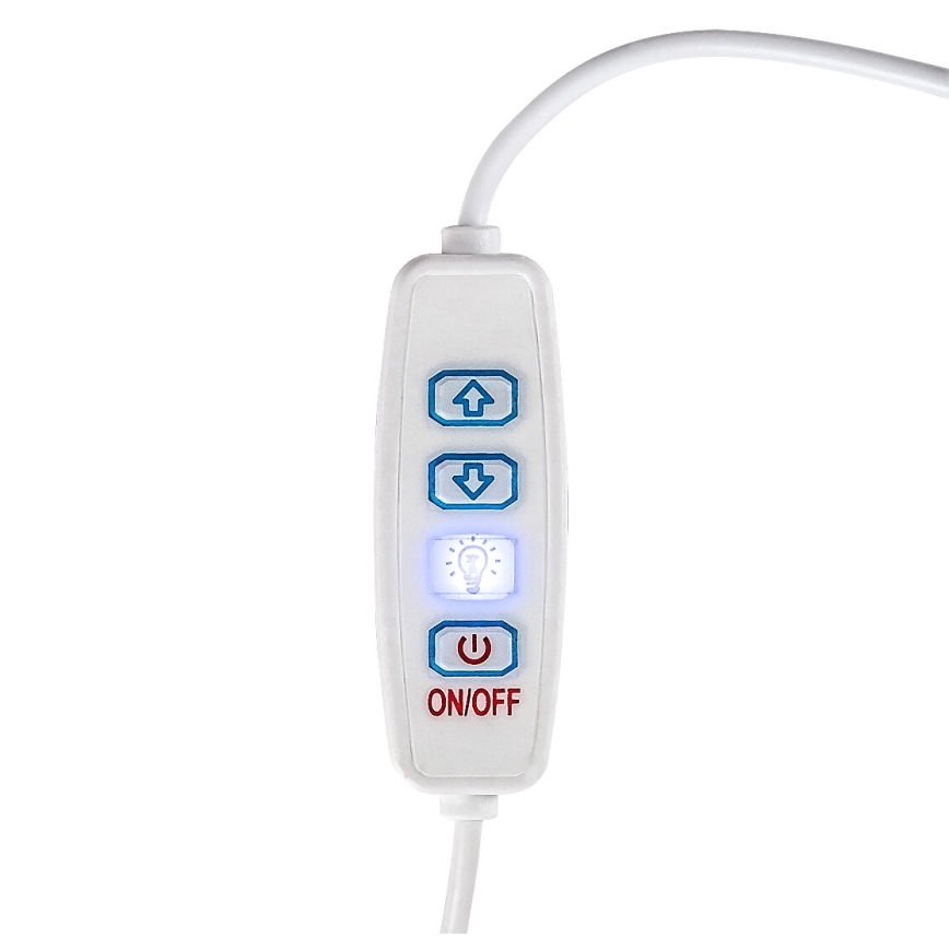 Lampă LED dimabilă de masă Rabalux LED/1,2W/5V 3000K fag