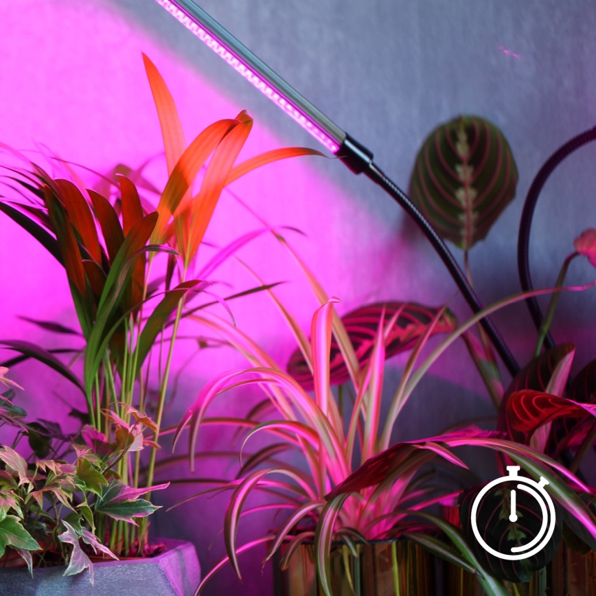 Lampă LED flexibiă dimabilă de masă pentru creșterea plantelor Brilagi VITABLOOM 3xLED/10W/230V negru